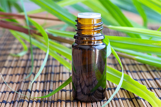 Why Citronella Still Works and How to Use It Smarter