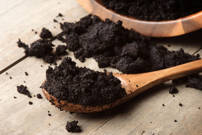 Do Coffee Grounds Really Repel Mosquitoes?
